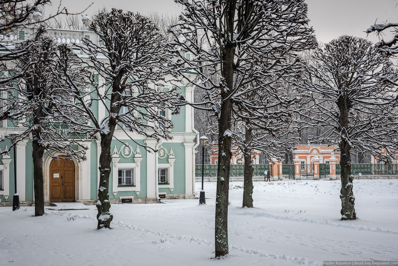 Усадьба Кусково зимой, 2018 год