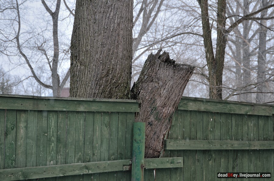 усадьба Марьинка