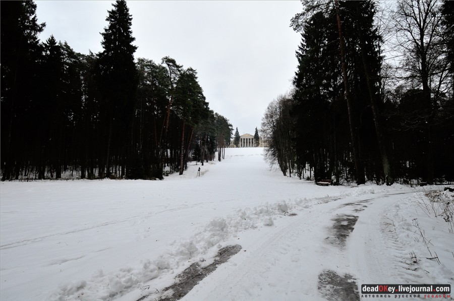 усадьба Введенское