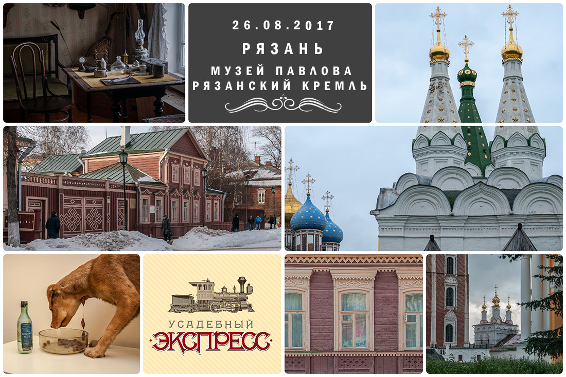 Усадебный экспресс. Рязань. Дом-музей Павлова. Рязанский Кремль.