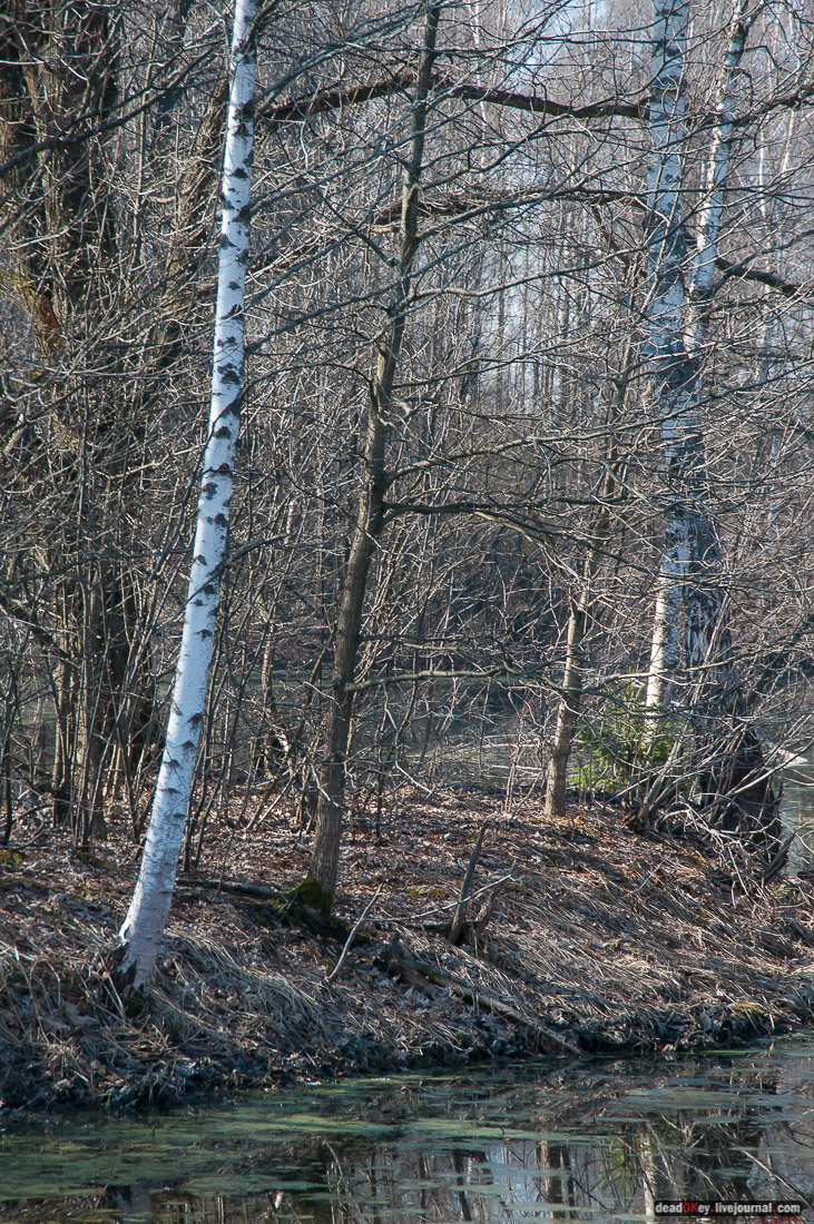 усадьба Савинское (исследование масонского парка)