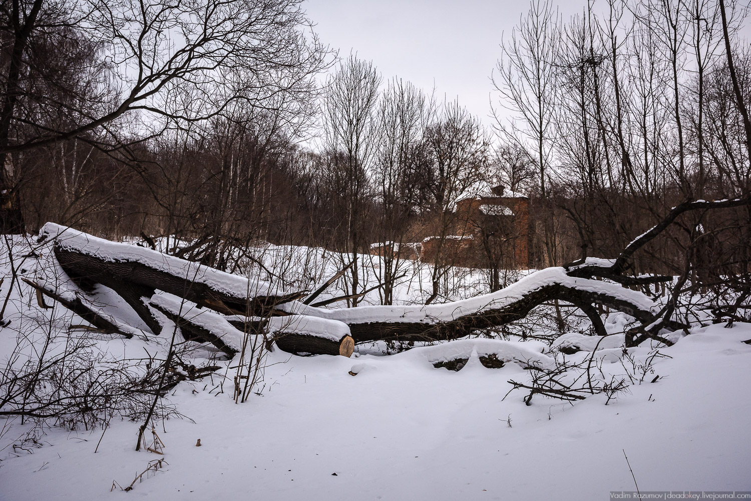 Богородицк, заброшенное здание бани
