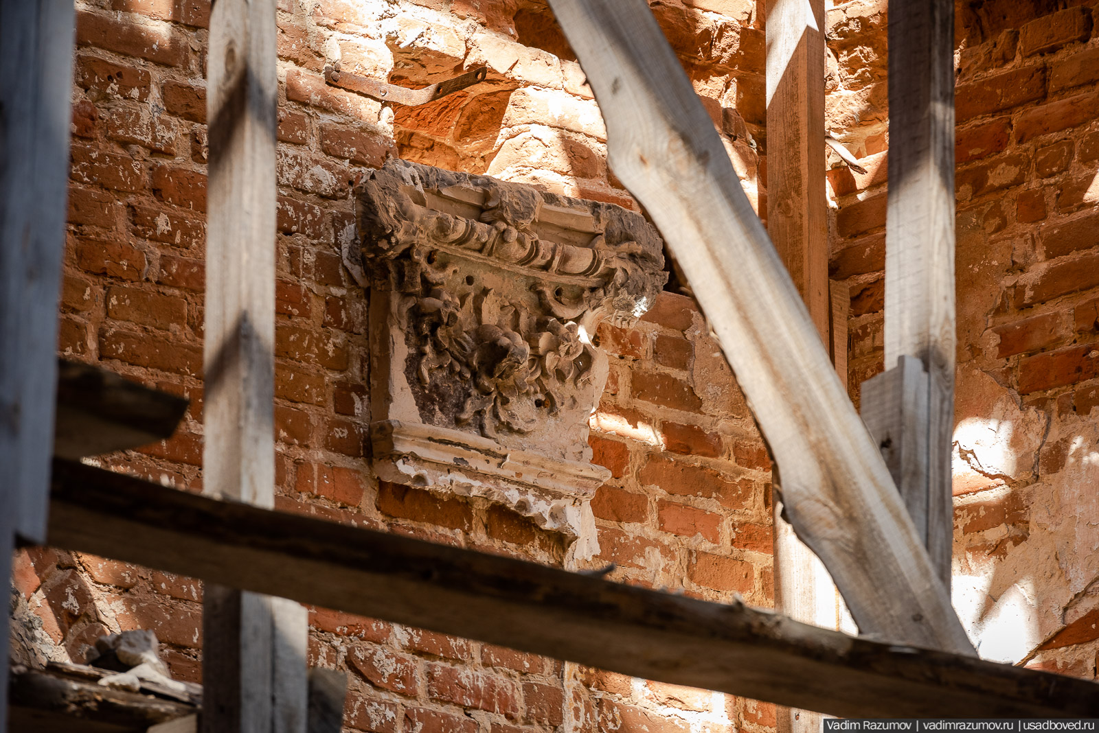 Пролески в усадьбе Репец, Задонский район, Липецкая область