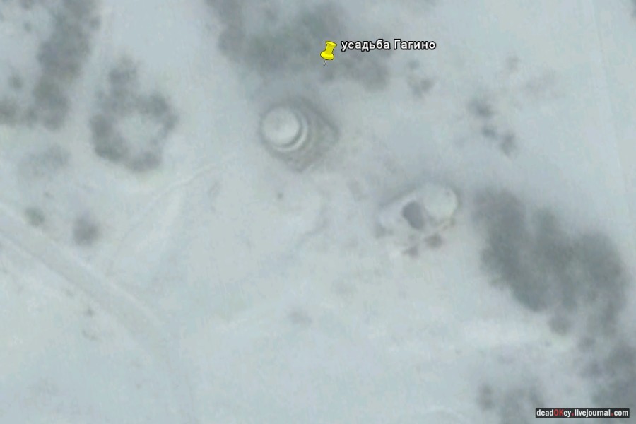 усадьба Гагино