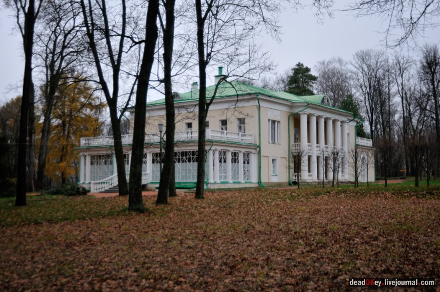 усадьба Горки Ленинские