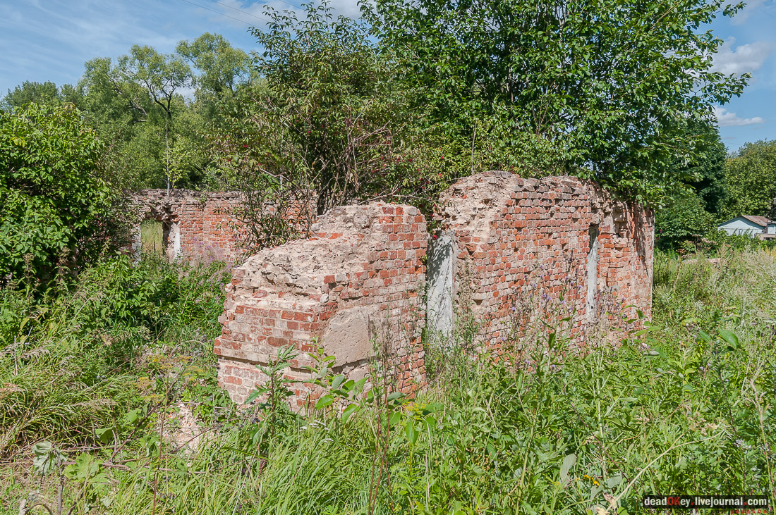 усадьба Васильевское Повалишиных