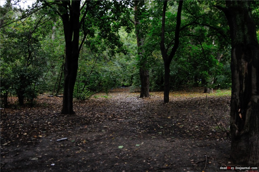 усадьба Строганова Дача