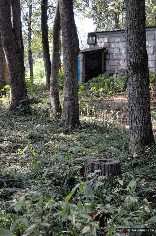 усадьба Хомяково