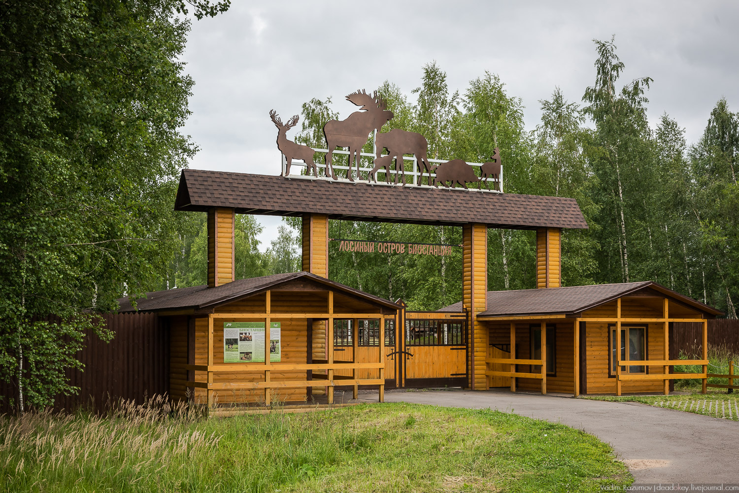 Лосиный остров