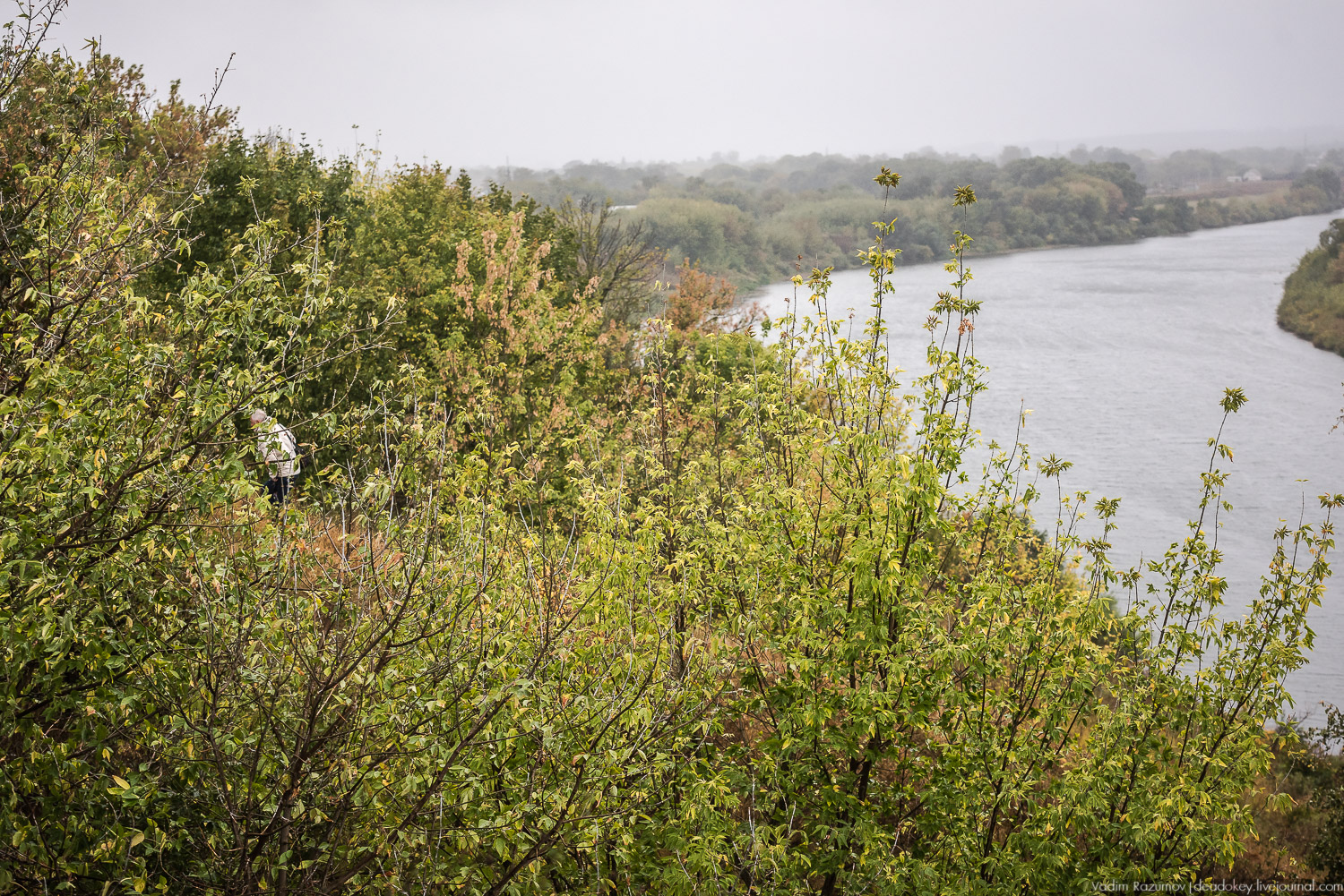 Липецкая область, усадьбы, инвестблогтур 