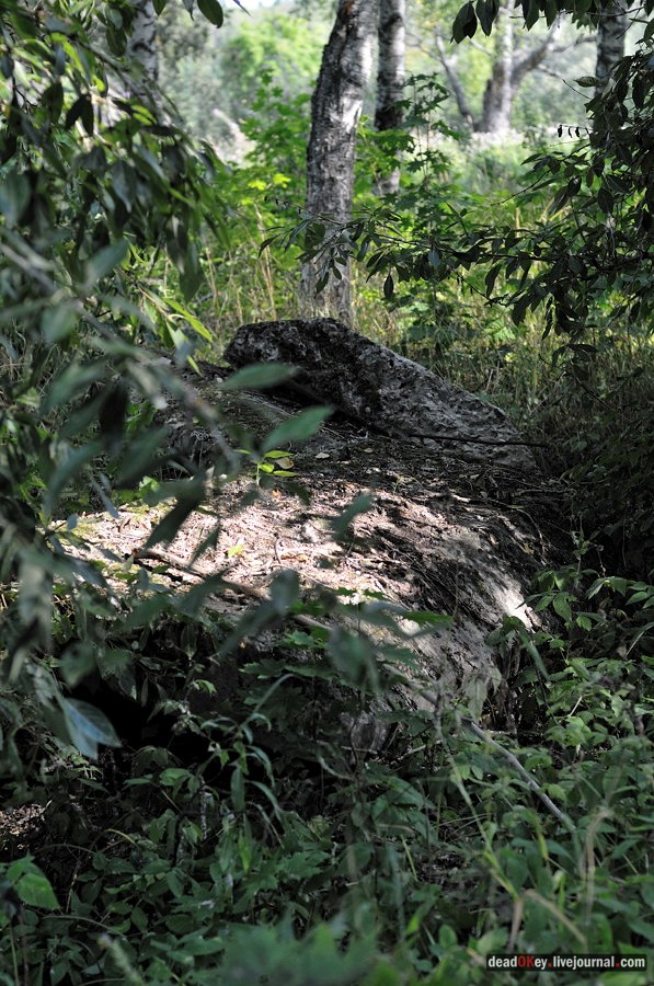 усадьба Хомяково