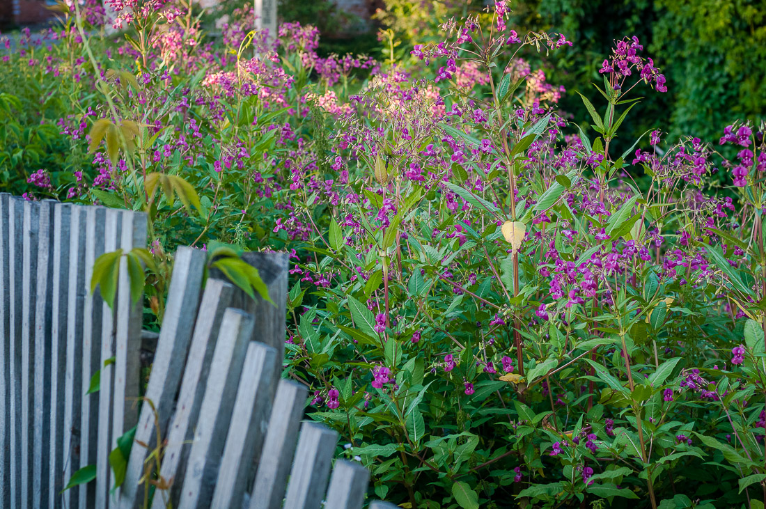Тульская область, самый маленький исторический город Чекалин
