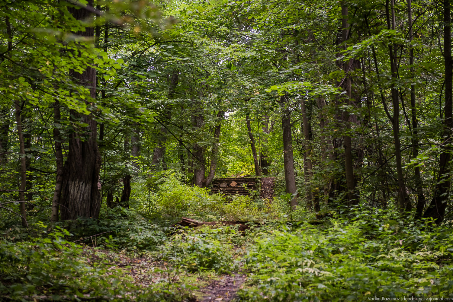 усадьба Никольское-Обольяниново, Усадебные волонтеры, субботник 17 августа 2019 года