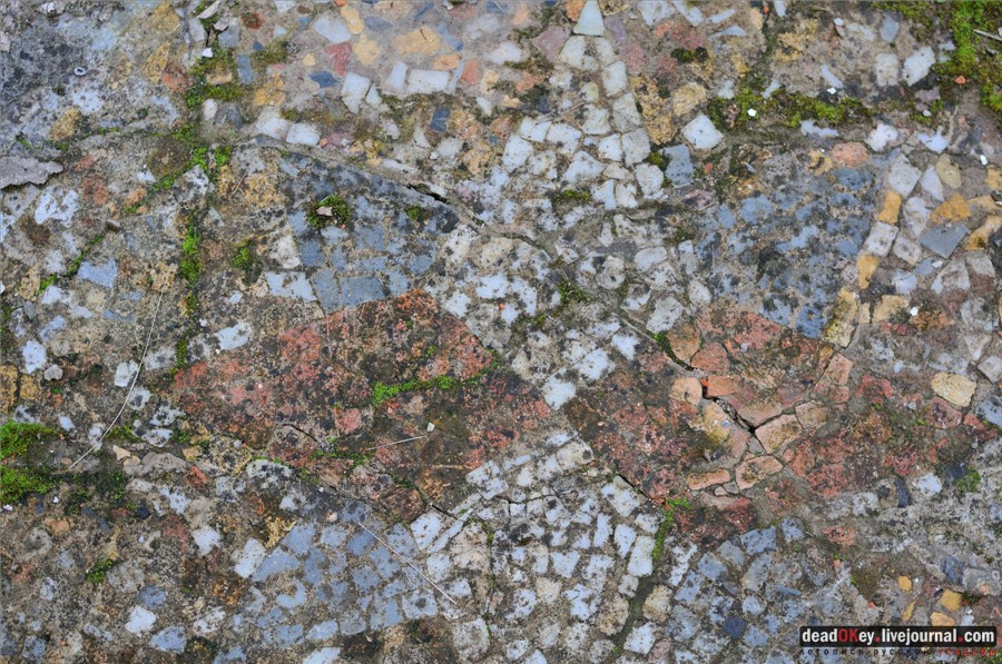 усадьба Глинки Якова Брюса (пансионат Монино)