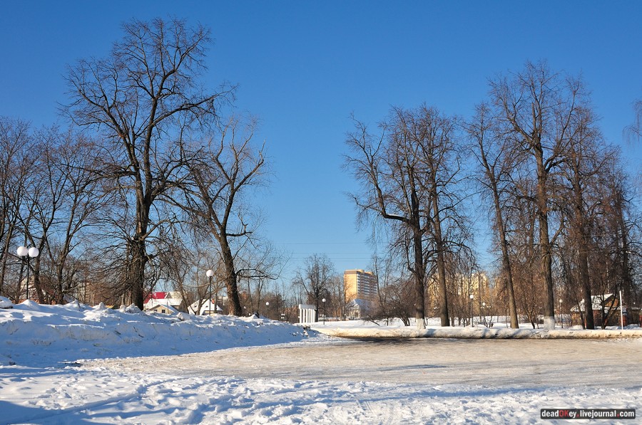 усадьба Котово-Спасское