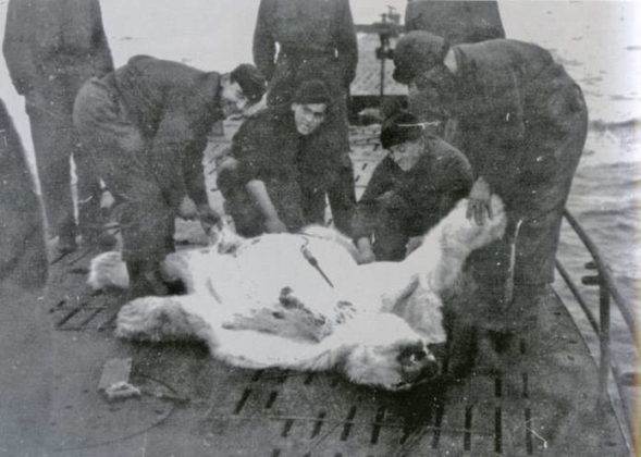 Где нацисты сдались только через 4 месяца после капитуляции? метеостанции, Шпицберген, Хаудеген», время, станции, после, немцев, Шпицбергене, «Операция, никто, пытались, вместе, через, месяца, немцы, метеостанцию, союзников, Тромсё, немецких, Сотрудники