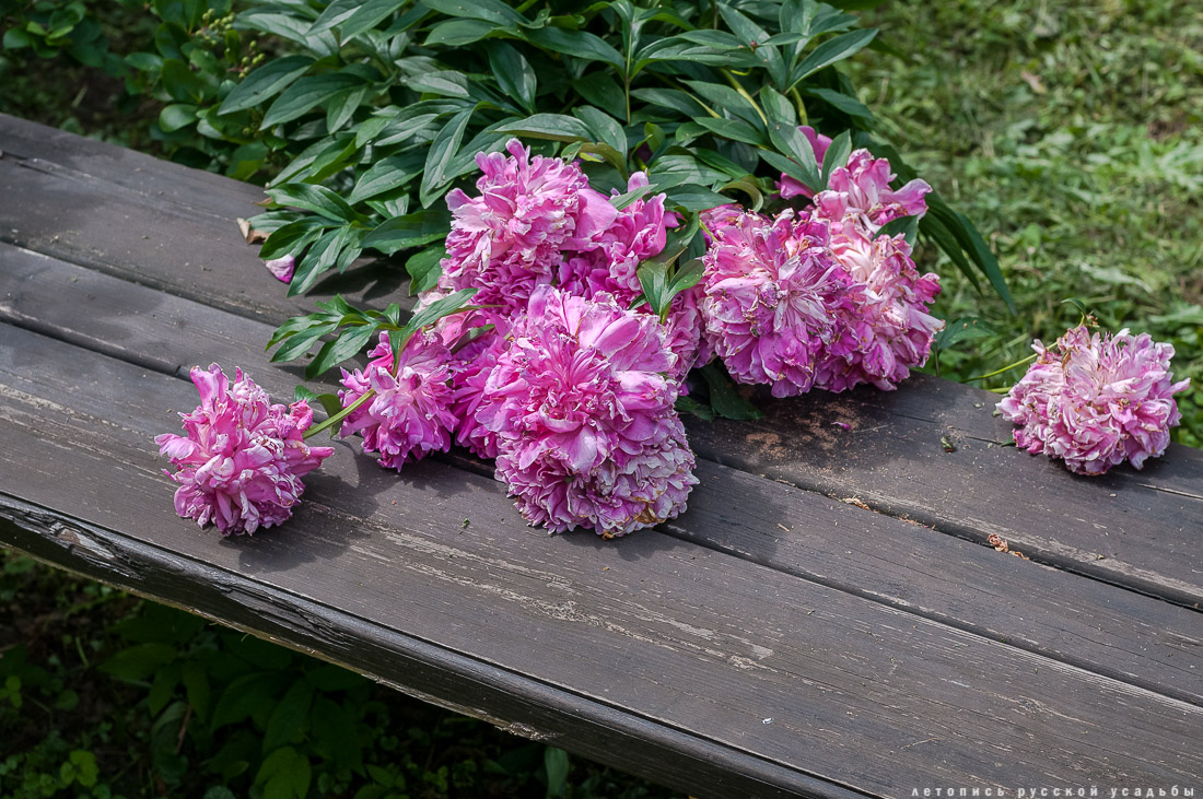 усадьба Дворяниново. В гости с дроном. Усадьба А.Т. Болотова с квадрокоптера