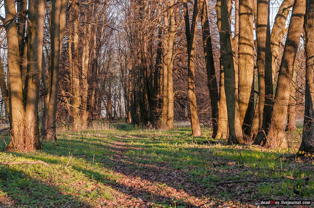 Усадьба Стародуб