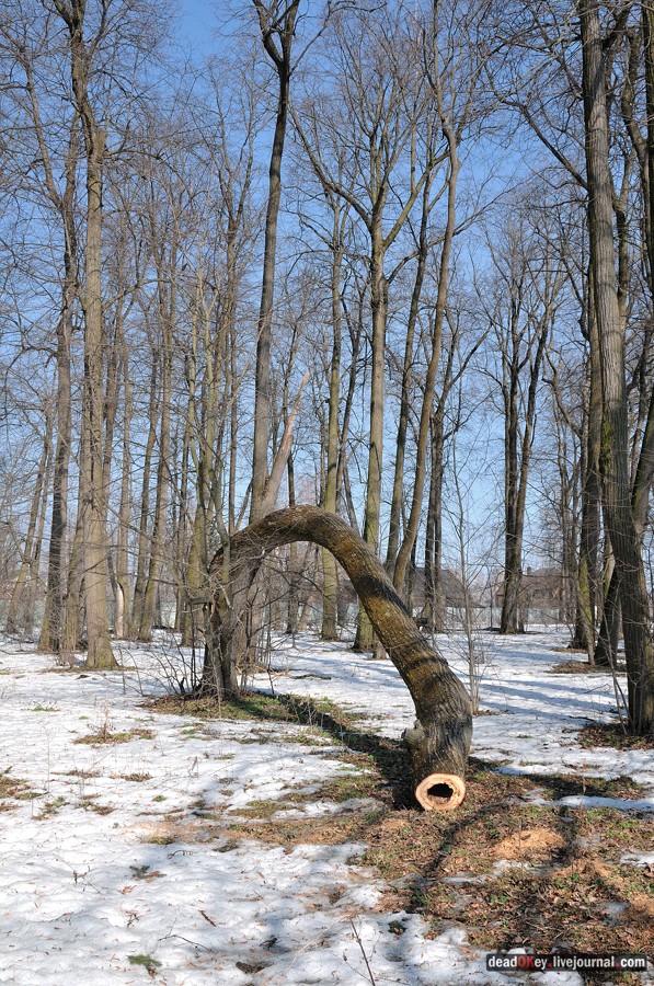 усадьба Уборы