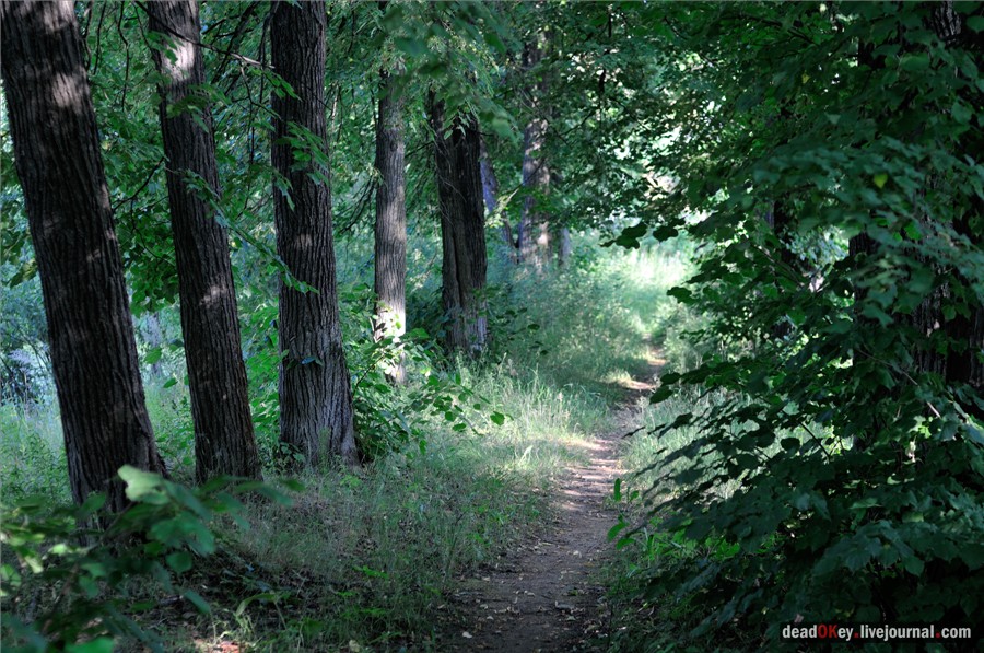 усадьба Долгое Ледово