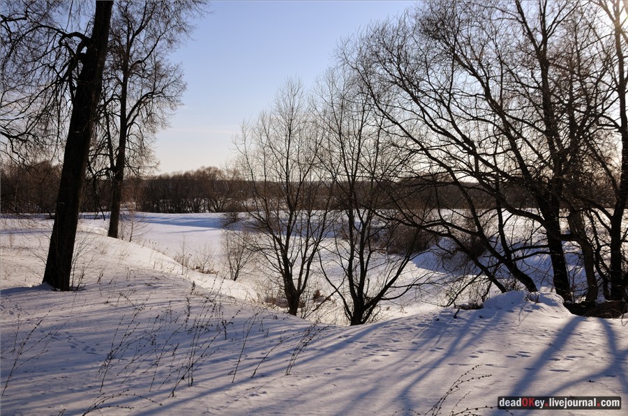 усадьба Федино