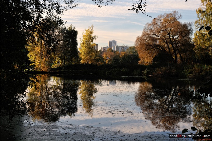 усадьба Петровское-Разумовское