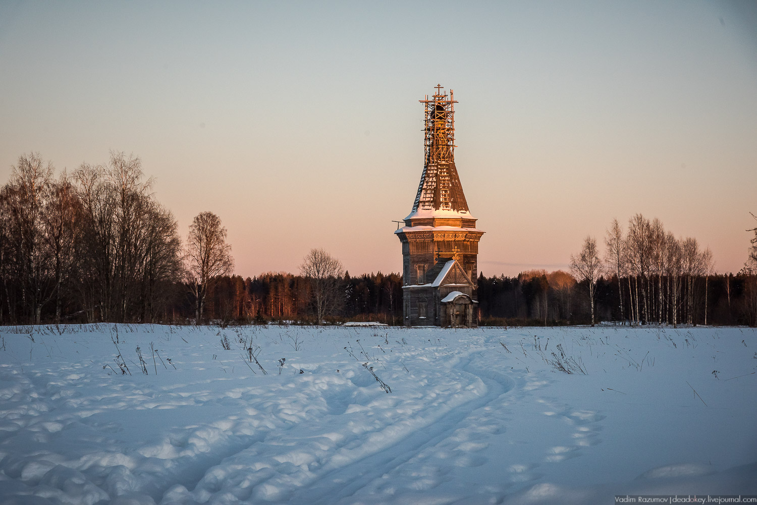 Русский север, экскурсия Усадебный экспресс, Архангельская область