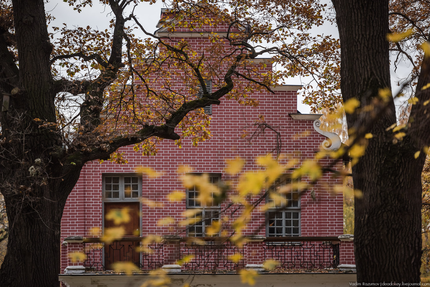 усадьба Кусково, осень 2018 года