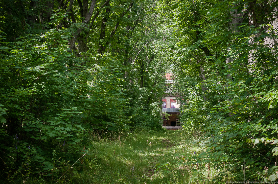 усадьба Стегаловка Ведровых