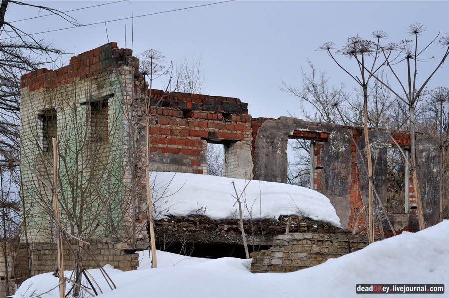 усадьба Ельдигино