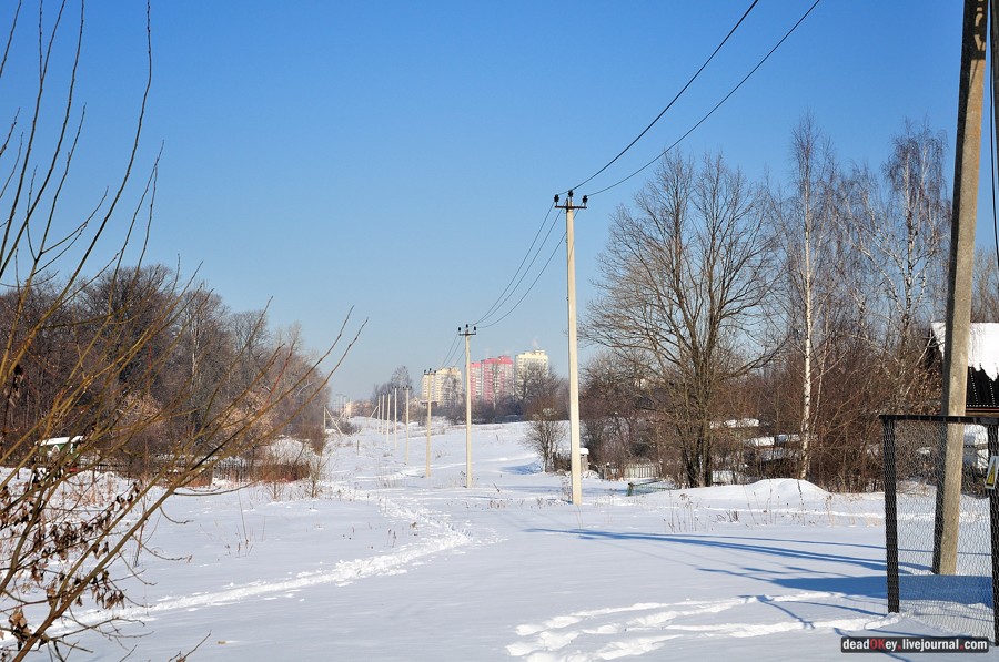 усадьба Старбеево