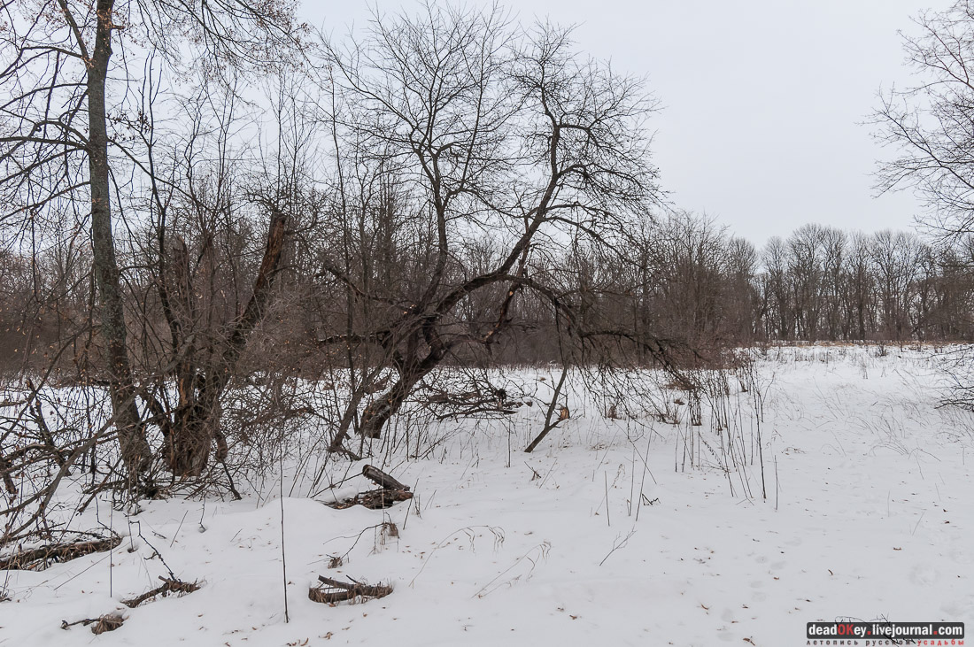 усадьба Репец