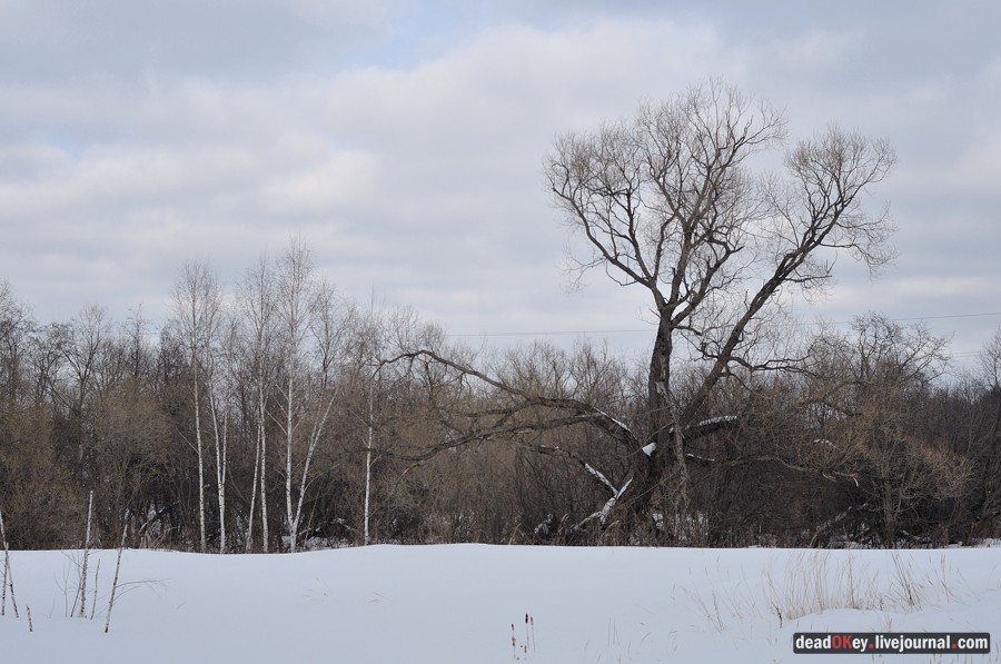 усадьба Милюково