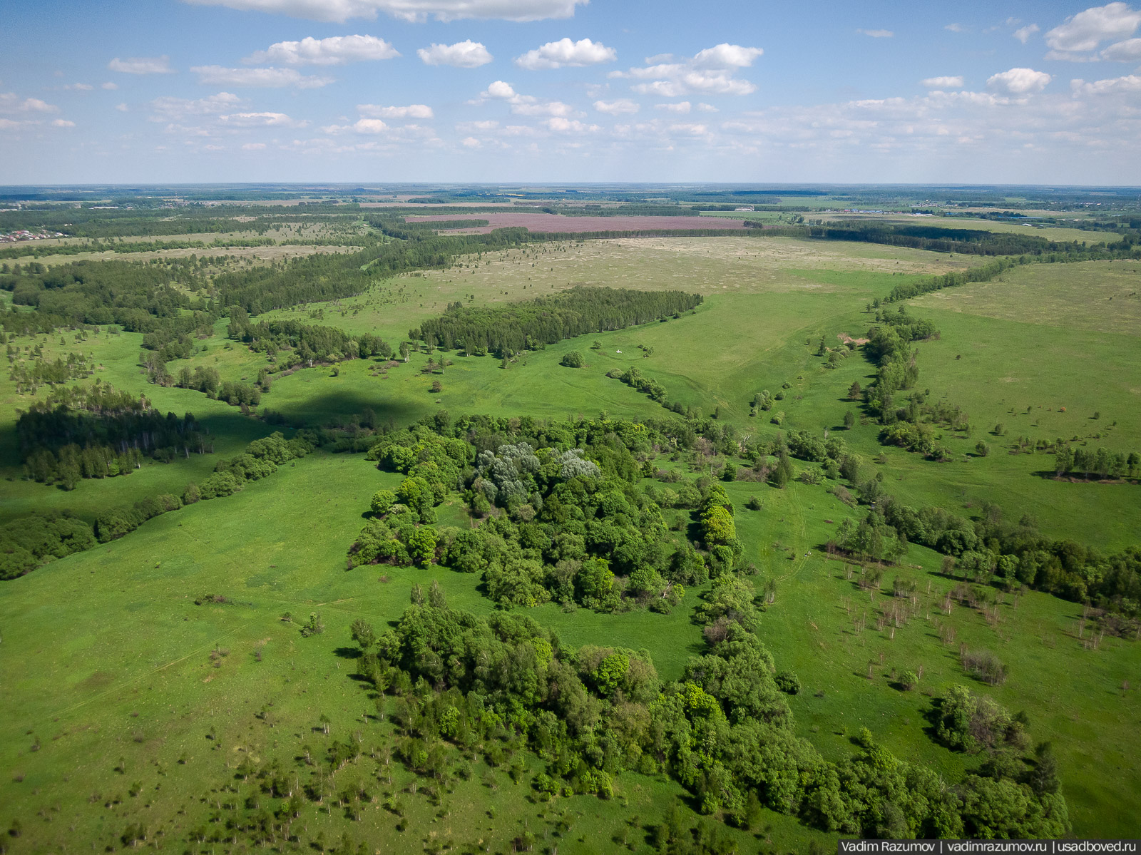 Старое Глазово, могила Василия Баженова, 2021 год