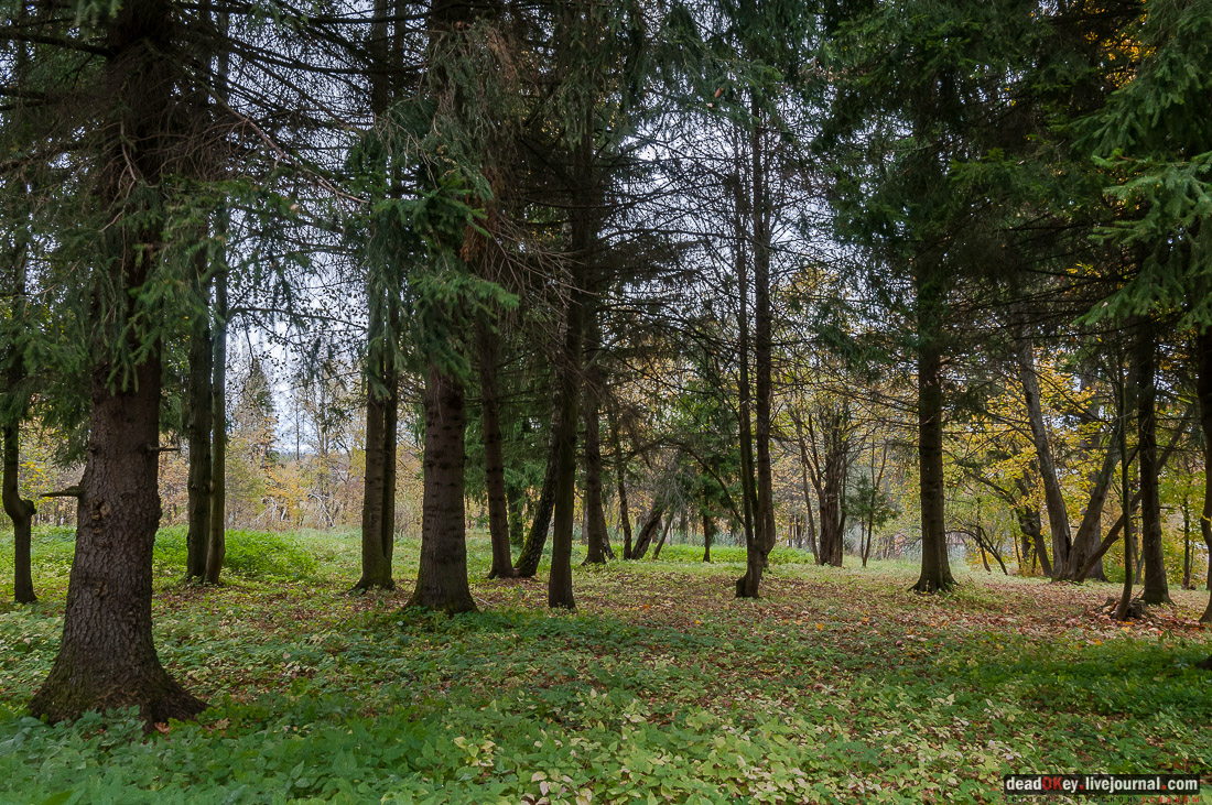Усадьба Покровское-Рубцово