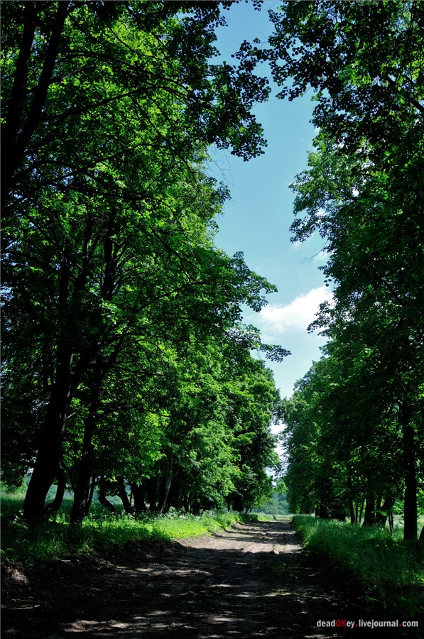 усадьба Петровское (Большепетровское)