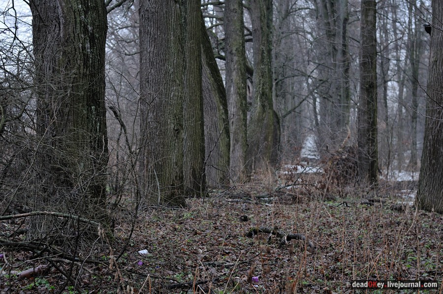 усадьба Иславское