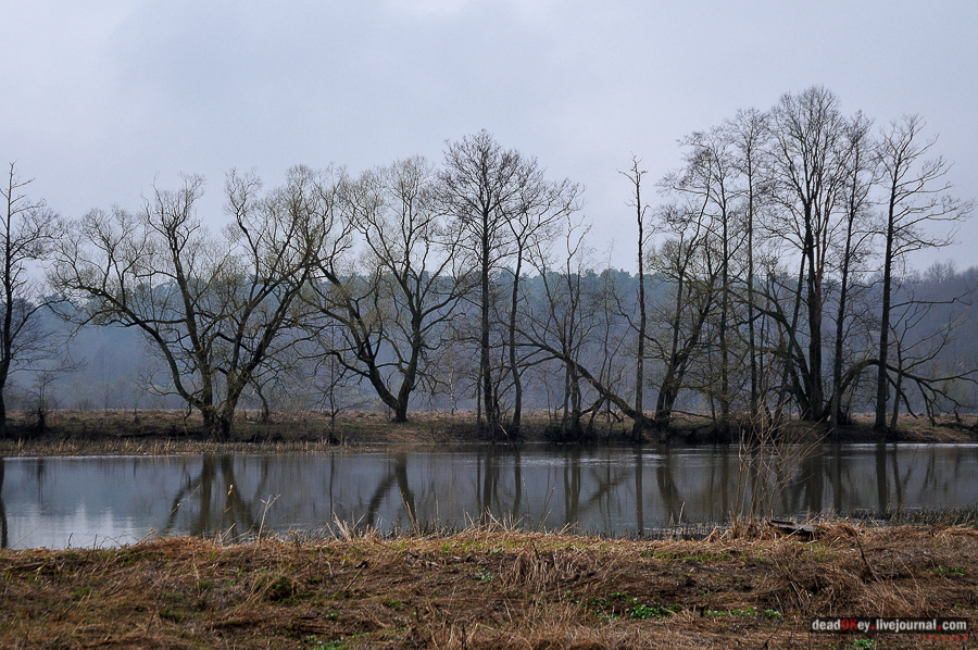 усадьба Полотняный Завод Щепочкиных