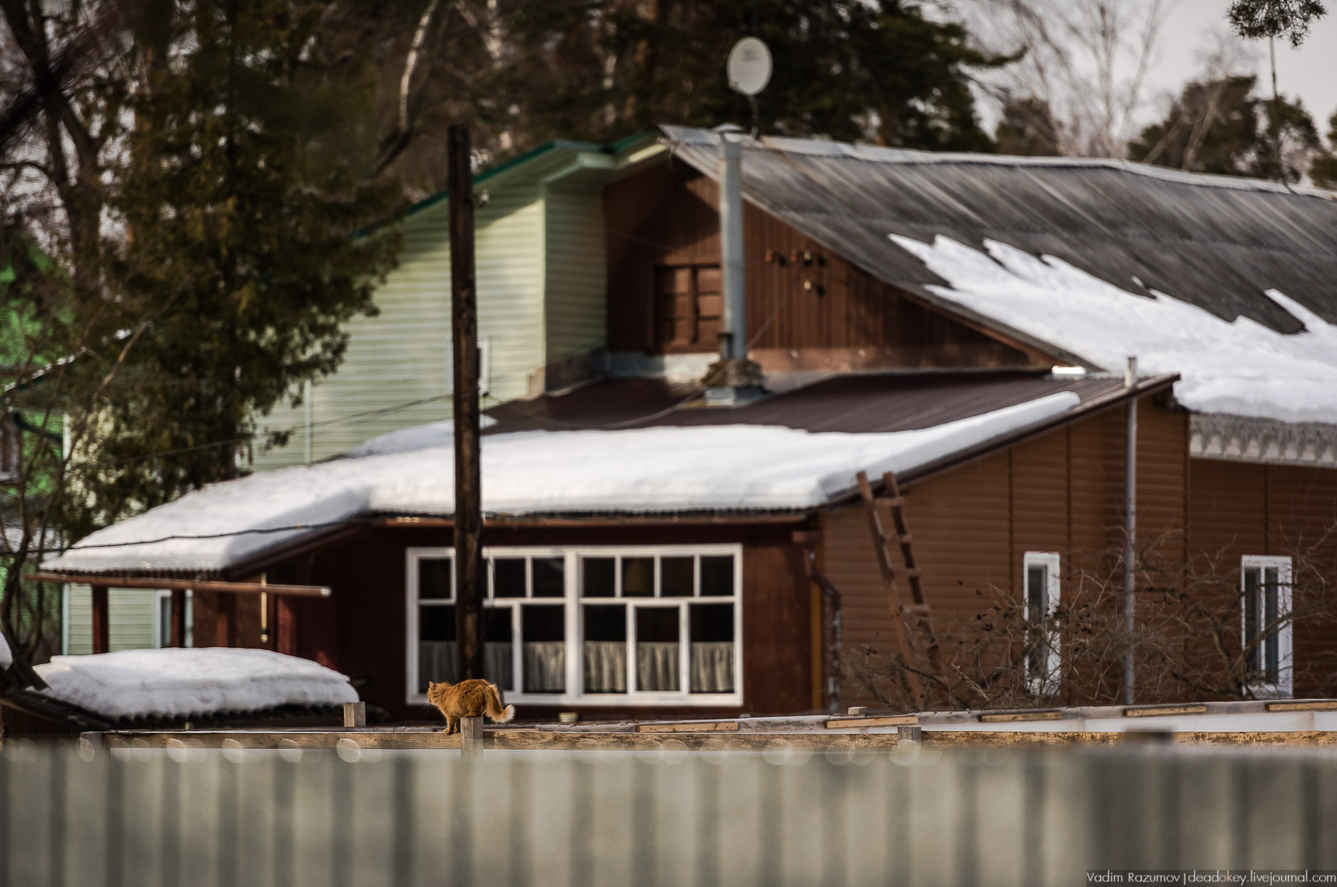 Малаховка, дачный поселок, Люберецкий район