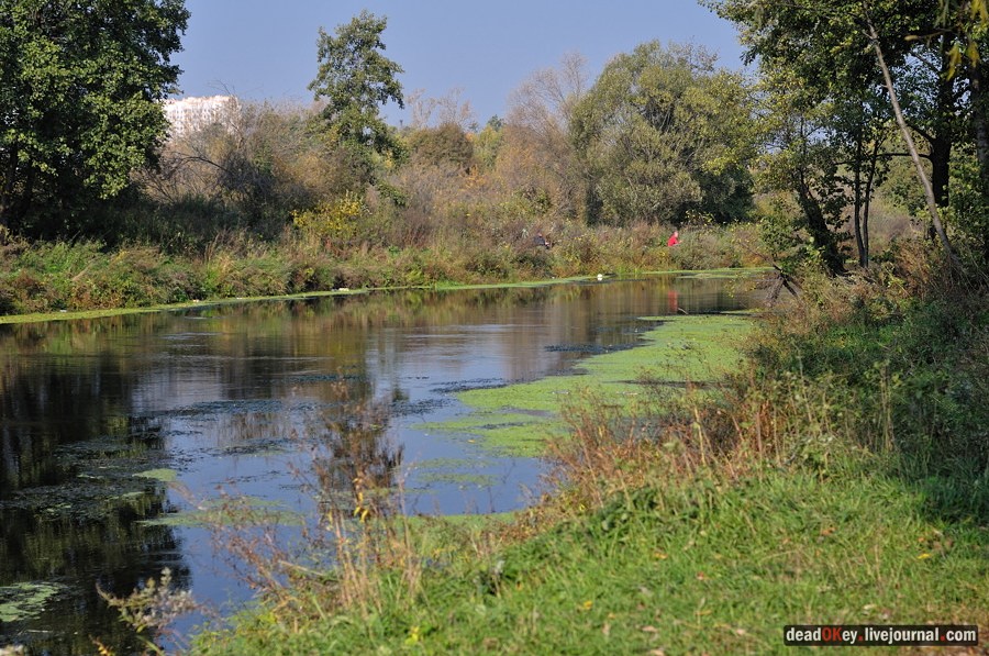 усадьба Красково
