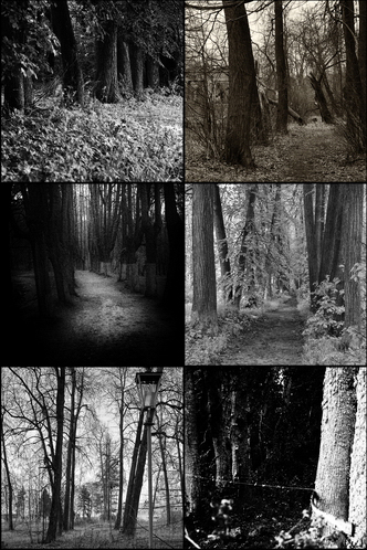 Парковые аллеи в русских усадьбах