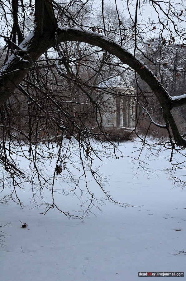 усадьба Быково