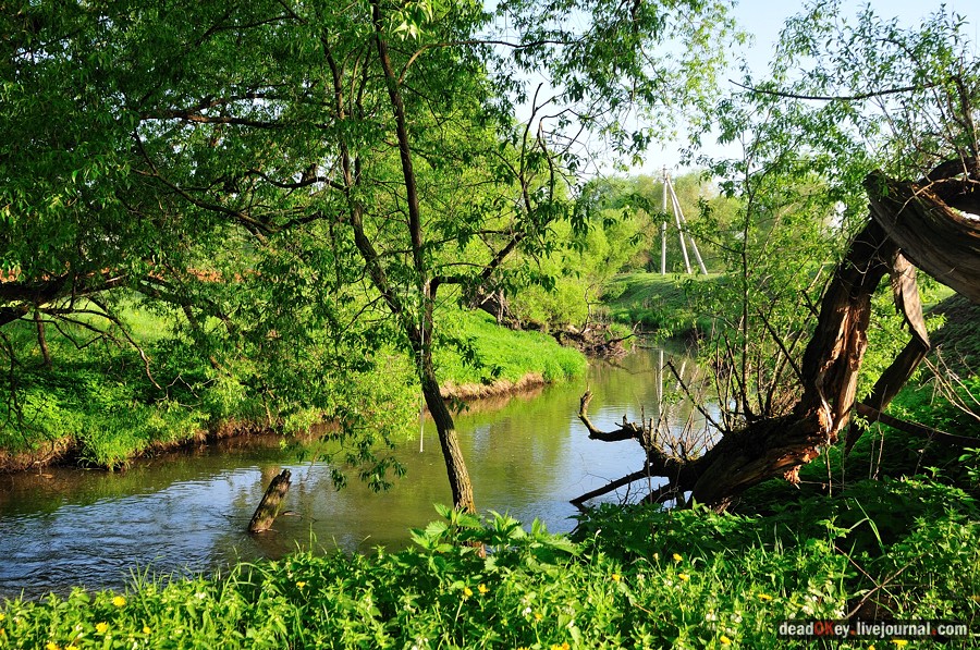 усадьба Прохорово