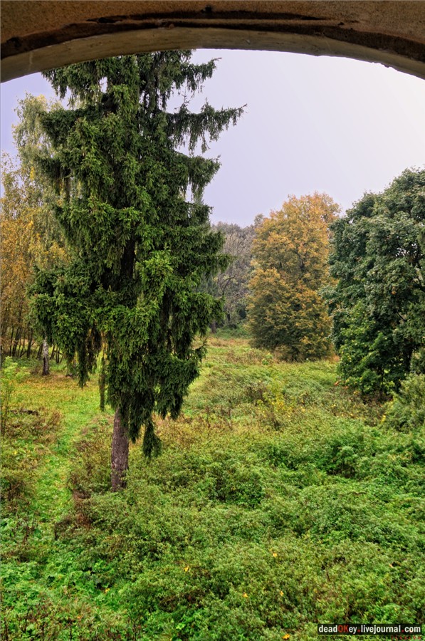 усадьба Ляхово