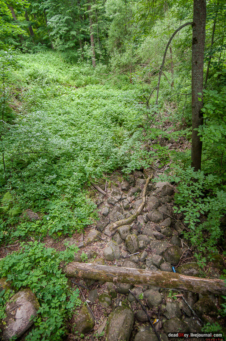 усадьба Митино, Торжокский район, Тверская область