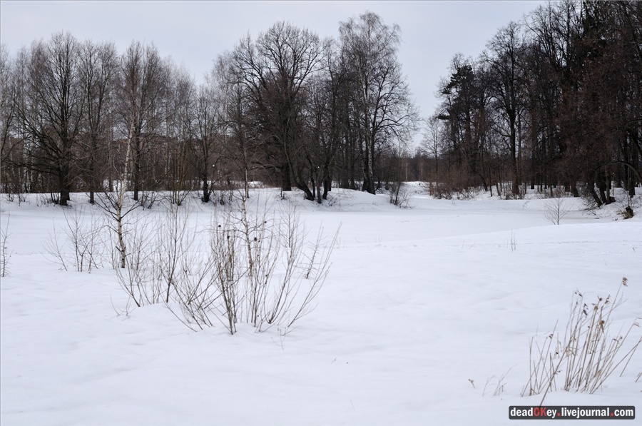 усадьба Райки