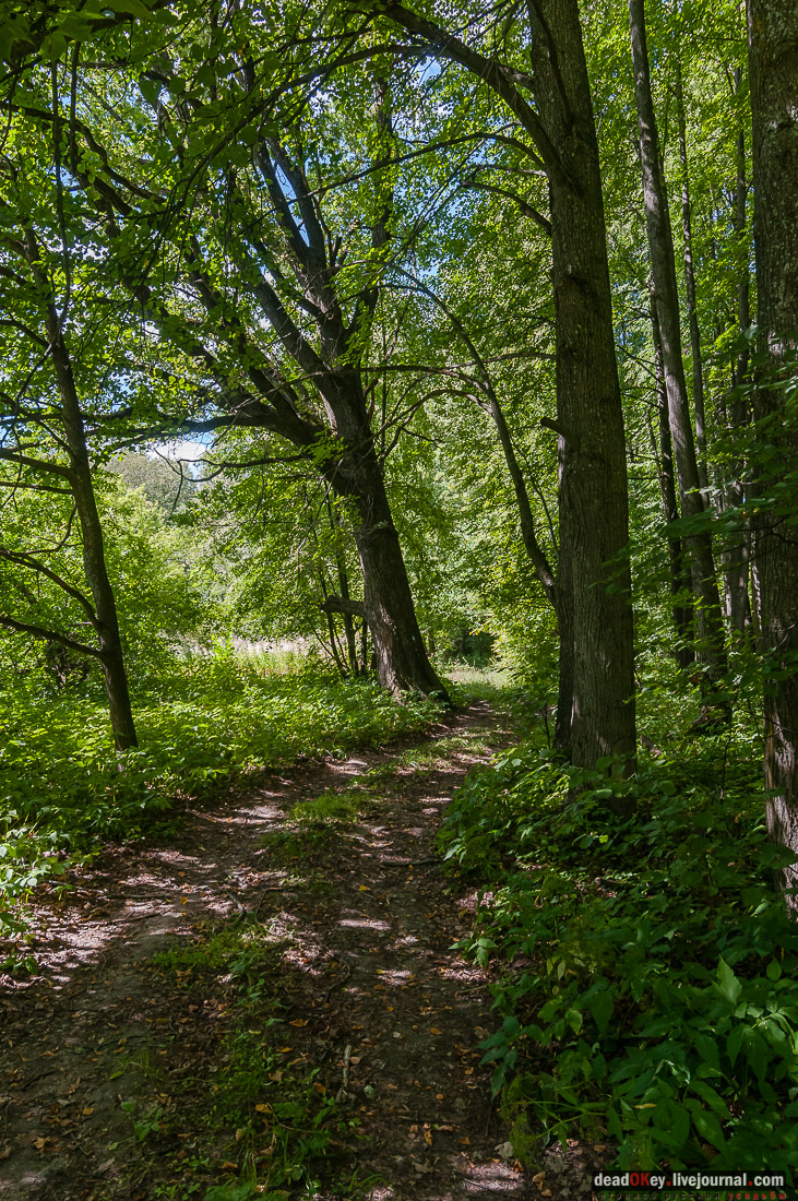 усадьба Васильевское Повалишиных