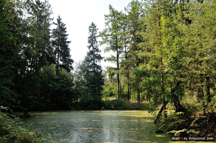 усадьба Пронино