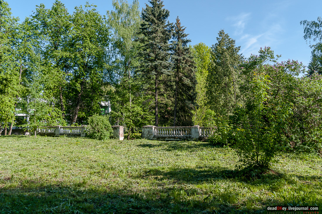 усадьба Мамоново, Сколково, Гусева полоса