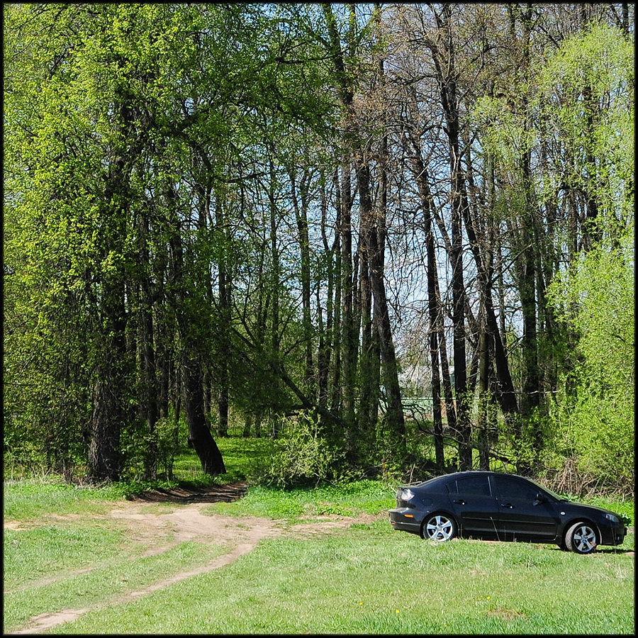 Парковые аллеи в русских усадьбах